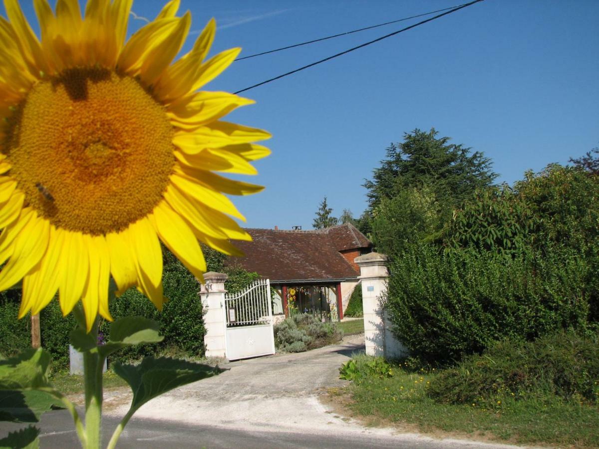 Le Clos Du Petit Marray Bed & Breakfast Chambourg-sur-Indre Eksteriør bilde